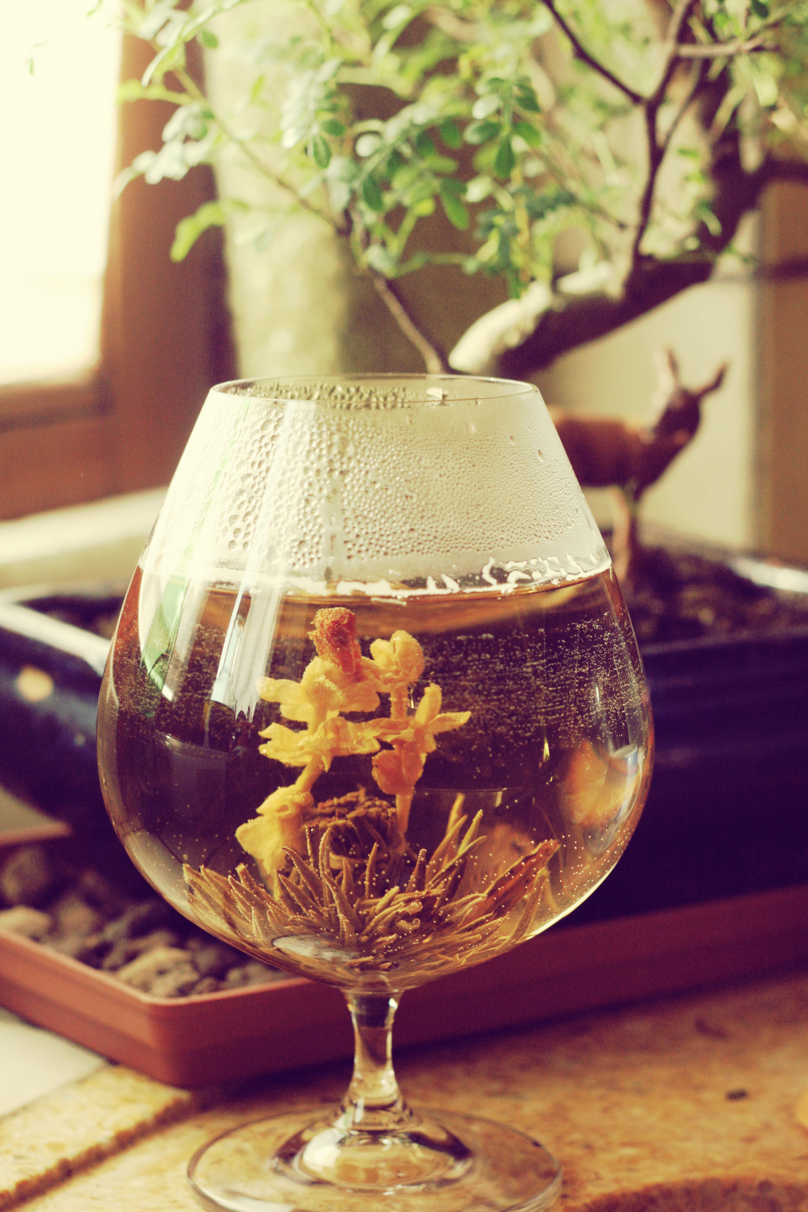 flower of tea (5)