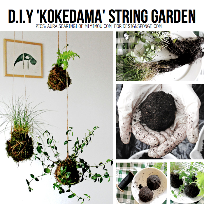 kokedama-string-garden